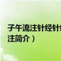 子午流注针经针经指南合注（关于子午流注针经针经指南合注简介）