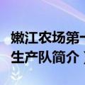 嫩江农场第十八生产队（关于嫩江农场第十八生产队简介）