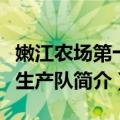 嫩江农场第十七生产队（关于嫩江农场第十七生产队简介）