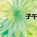 子午管（关于子午管简介）