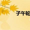 子午轮胎（关于子午轮胎简介）