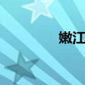嫩江镇（关于嫩江镇简介）