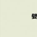 嬖习（关于嬖习简介）