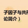 子因子与共形场理论（关于子因子与共形场理论简介）