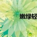 嫩绿轻红（关于嫩绿轻红简介）