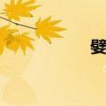 嬖爱（关于嬖爱简介）