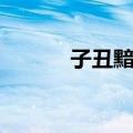子丑黯神（关于子丑黯神简介）