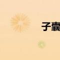 子囊果（关于子囊果简介）