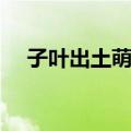 子叶出土萌发（关于子叶出土萌发简介）
