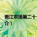 嫩江农场第二十一生产队（关于嫩江农场第二十一生产队简介）