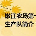 嫩江农场第十四生产队（关于嫩江农场第十四生产队简介）