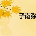 子南弥牟（关于子南弥牟简介）