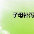 子母补泻法（关于子母补泻法简介）