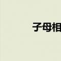 子母相权（关于子母相权简介）