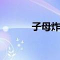 子母炸弹（关于子母炸弹简介）