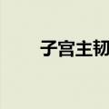 子宫主韧带（关于子宫主韧带简介）