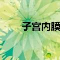 子宫内膜炎（关于子宫内膜炎简介）