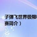 子弹飞世界极限格斗系列赛（关于子弹飞世界极限格斗系列赛简介）