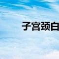 子宫颈白斑（关于子宫颈白斑简介）