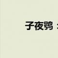 子夜鸮：4（关于子夜鸮：4简介）
