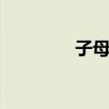 子母柳（关于子母柳简介）