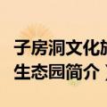 子房洞文化旅游生态园（关于子房洞文化旅游生态园简介）