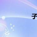 子平（关于子平简介）