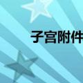 子宫附件炎（关于子宫附件炎简介）