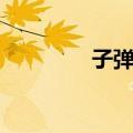 子弹拳（关于子弹拳简介）