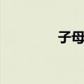 子母笺（关于子母笺简介）