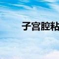 子宫腔粘连（关于子宫腔粘连简介）