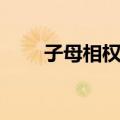 子母相权论（关于子母相权论简介）