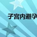 子宫内避孕器（关于子宫内避孕器简介）