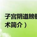 子宫阴道膀胱间置术（关于子宫阴道膀胱间置术简介）