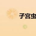 子宫虫病（关于子宫虫病简介）