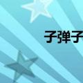 子弹子弹（关于子弹子弹简介）