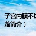 子宫内膜不规则脱落（关于子宫内膜不规则脱落简介）