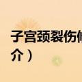 子宫颈裂伤修补术（关于子宫颈裂伤修补术简介）