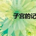 子宫的记忆（关于子宫的记忆简介）