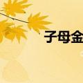 子母金环（关于子母金环简介）