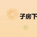 子房下位（关于子房下位简介）