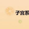 子宫系膜（关于子宫系膜简介）