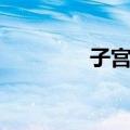 子宫体（关于子宫体简介）