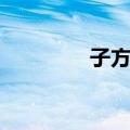 子方虫（关于子方虫简介）