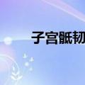 子宫骶韧带（关于子宫骶韧带简介）