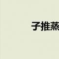 子推蒸饼（关于子推蒸饼简介）