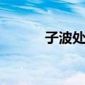 子波处理（关于子波处理简介）