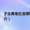 子女养老社会保险金制度（关于子女养老社会保险金制度简介）