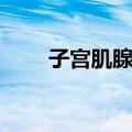 子宫肌腺瘤（关于子宫肌腺瘤简介）