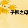子柳之母死（关于子柳之母死简介）